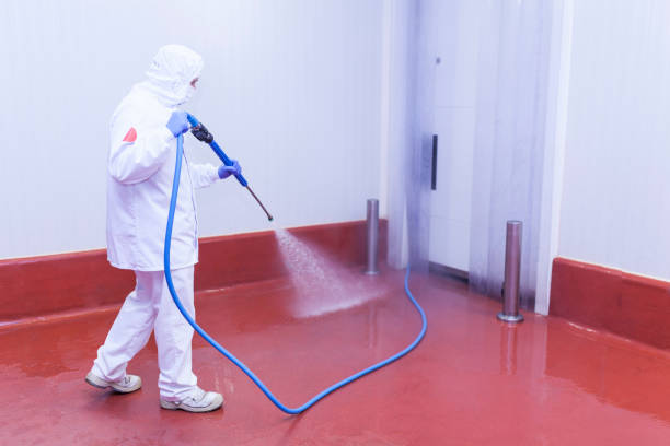 Trusted Wyldwood, TX  Pressure Washing Services Experts