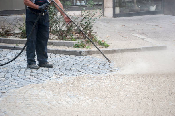 Animal Enclosure Cleaning in Wyldwood, TX